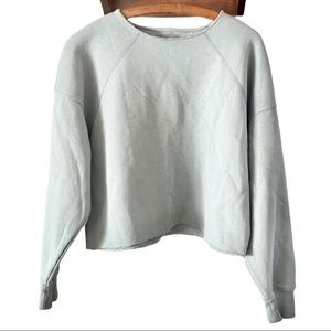 Everlane Cropped Light Blue Sweatshirt Size Large